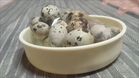 Quail Eggs Wrapped in Plastic Inside a Baby Bowl Stock Footage 297649499