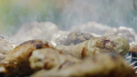 Quail Legs Portion Grilling on Bbq Grid with Smoke Stock Footage 145250098