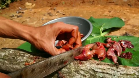 Quail meat Stock-Footage 160367667