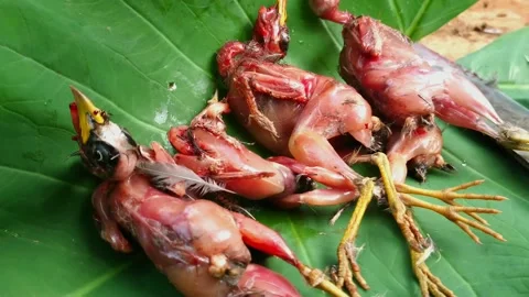 Quail meat Stock-Footage 160367811