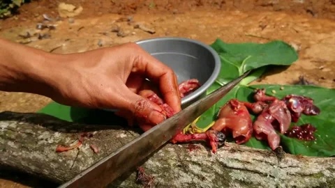 Quail meat Stock-Footage 160367903