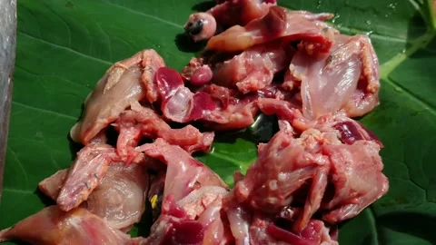 Quail meat Stock-Footage 160367969