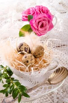 Quail's eggs Stock Photos