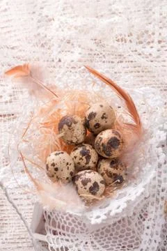 Quail's eggs Stock Photos
