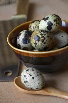 Quail's eggs Stock Photos