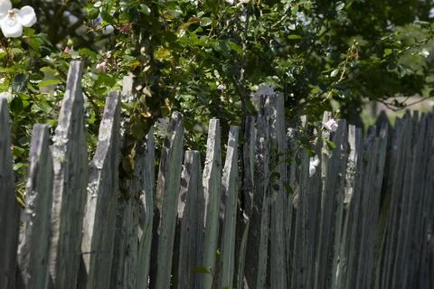Quaint Garden Stock Photos