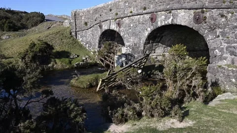 Quaint road bridge over Cherry brook Dartmoor Stock Footage 303431489