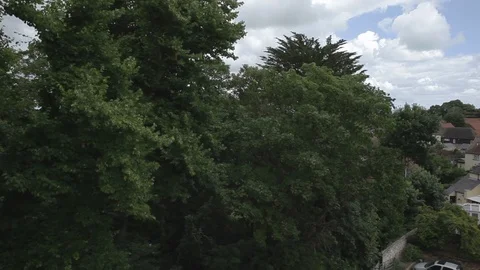 Quaint Suburbia, UK Video stock 101535535