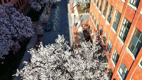 The Quaint - Syracuse, NY 库存照片
