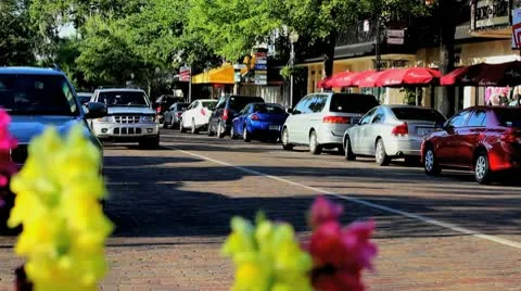 Quaint Town Street Stock Footage 8986478