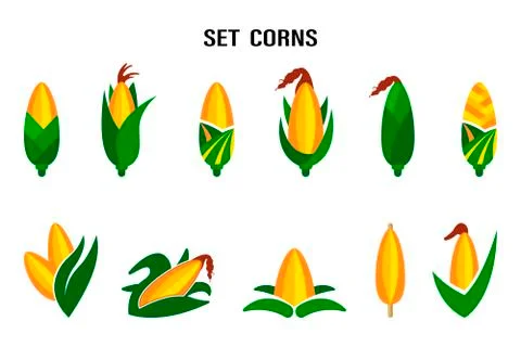 Qualitative original trendy vector set with sweet golden corn. Design element Stock Illustration