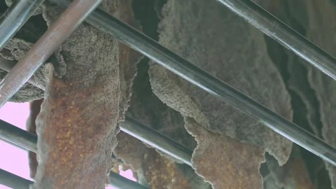 Quality Assurance of Crumb Rubber Sheet During Manufacturing Process Stock Footage 336712960
