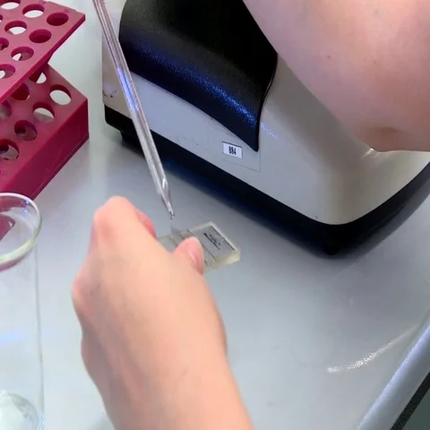 Quality assurance in the laboratory Video stock 69515495