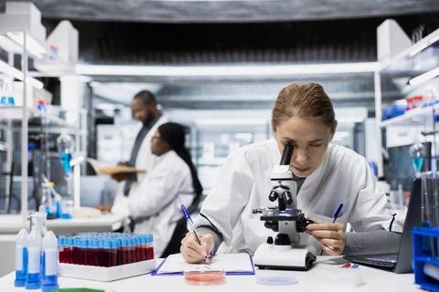 Quality control analyst examines bacterial cultures on slide using microscope Stock Photos