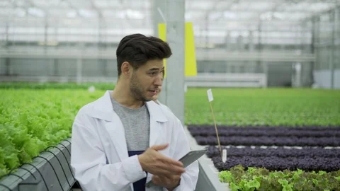 Quality control checkup in greenhouse Video stock 96590329