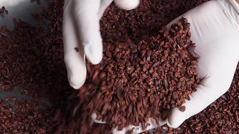 Quality control of cocoa nibs, and the Process of making chocolate 스톡 동영상 263091381