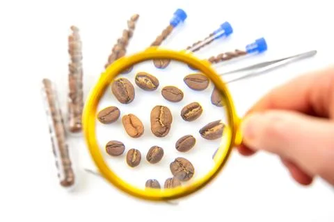 Quality control of coffee beans in a lab setting. Test tubes filled with co.. Stock Photos