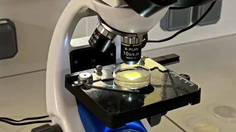 Quality control during production. 動画素材 332734451