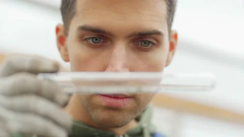 Quality control expert examining soil sample in greenhouse Stock Footage 142406511