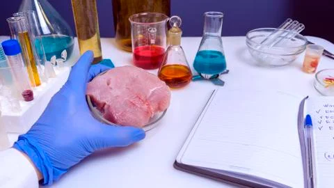 Quality control expert inspecting at meat products in the laboratory Stock Photos