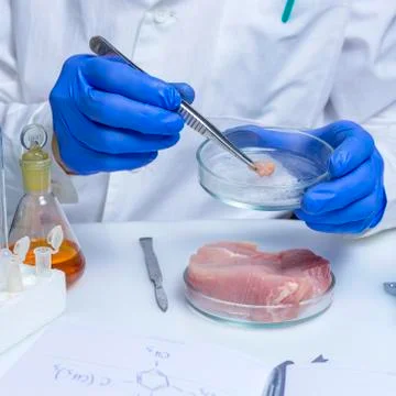 Quality control expert inspecting at meat products in the laboratory Stock Photos