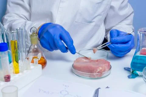 Quality control expert inspecting at meat products in the laboratory Stock Photos