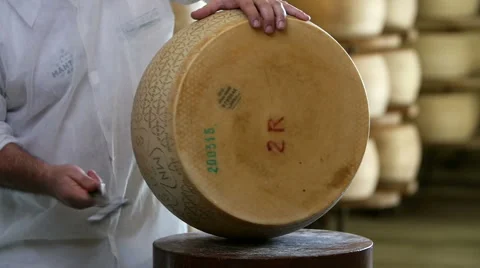 Quality control on Grana Padano Vidéo 60975513