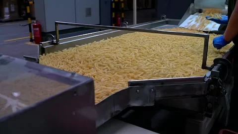 Quality control manager working on the pasta factory checks macaroni quality Stock Footage 153371065