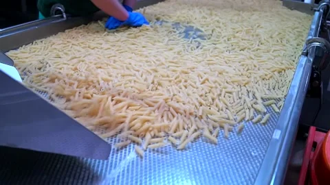 Quality control manager working on the pasta factory checks macaroni quality Stock Footage 154348906
