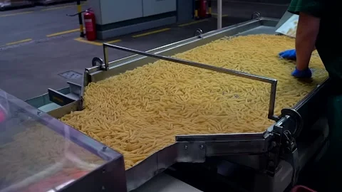 Quality control manager working on the pasta factory checks macaroni quality Stock Footage 154613718