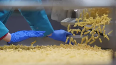 Quality control manager working at the pasta factory checks macaroni quality Stock Footage 234050352