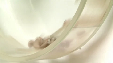 Quality control of medicines 스톡 동영상 2667999