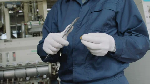 The quality control process for the production of food for dogs and cats. Stock Footage 237487511