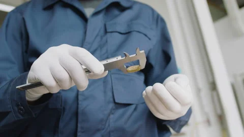 The quality control process for the production of food for dogs and cats. Stock Footage 237487560