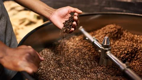 Quality control of roasted coffee beans in african man's hands Stock Photos