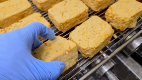 Quality control worker in gloves inspecting texture of fresh tofu block 库存影片 331719745