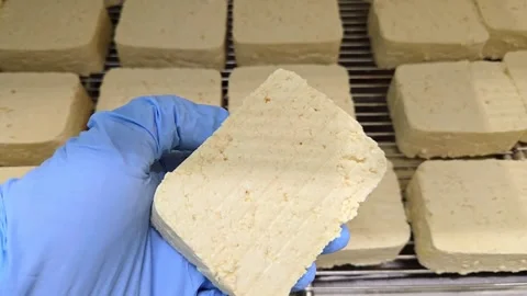 Quality control worker in gloves inspecting texture of fresh tofu block Stock-Footage 331719766