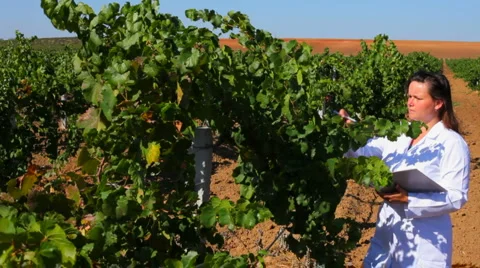 Quality Inspector Stock Footage 1442743