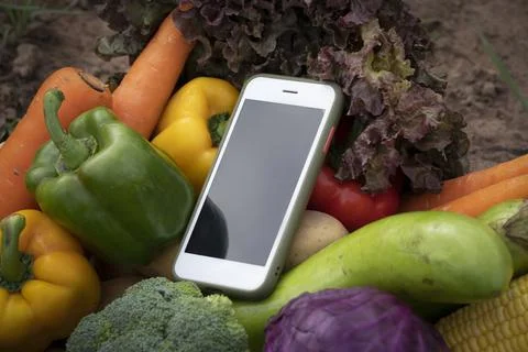 Quality local product checking concept. Smart phone and wooden box with veget Stock Photos