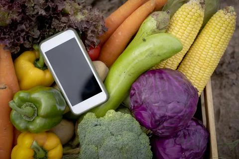 Quality local product checking concept. Smart phone and wooden box with veget Stock Photos