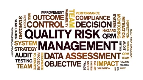 Quality Risk Management animated word cloud,animation kinetic typography loop. Stock Footage 310042929