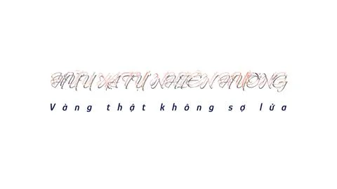 QUALITY SPEAKS ITSELF expressed in Vietnamese masked text design featuring liqui Illustration