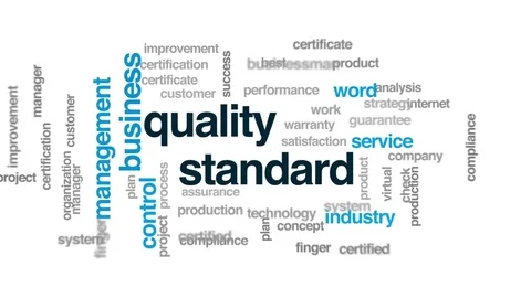 Quality standard animated word cloud, text design animation. Stock Footage 74693929