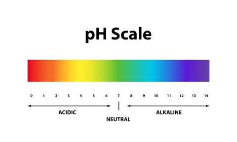 Quantitative Ph level Scale chart indicator diagram value. Alkaline, neutra.. Stock Illustration