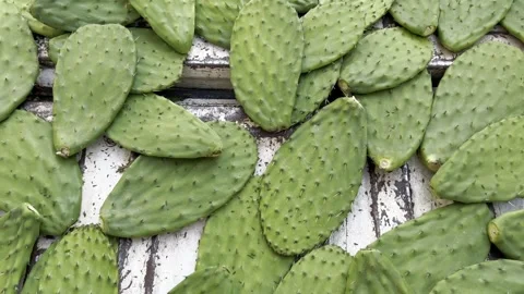 Quantity of nopal huaraches distributed on the table. Stock Footage 290879038