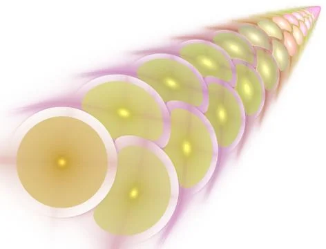 Quantum Energy Bubbles- Abstract Scientific Illustration イラスト素材