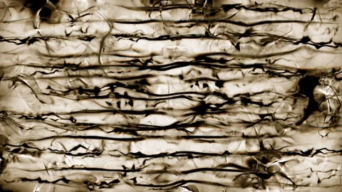 Quantum physics scene in sub atomic scale Stock Footage 91670189