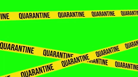 Quarantine Barricade 4K Animation, Green... | Stock Video | Pond5