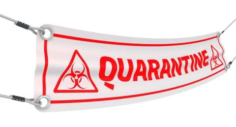 Quarantine. The information banner 库存插图