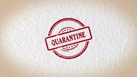 QUARANTINE stamp style word Stock Footage 319503763